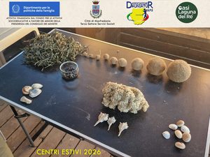 Centri estivi Manfredonia