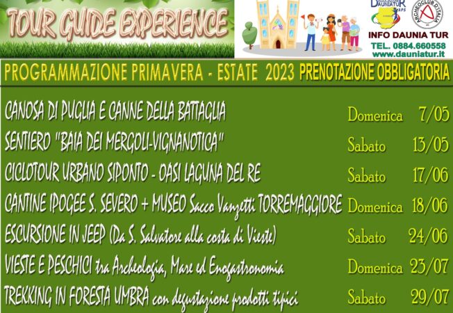 4fffb31b-d85a-4c22-9e00-df75ddd7c452